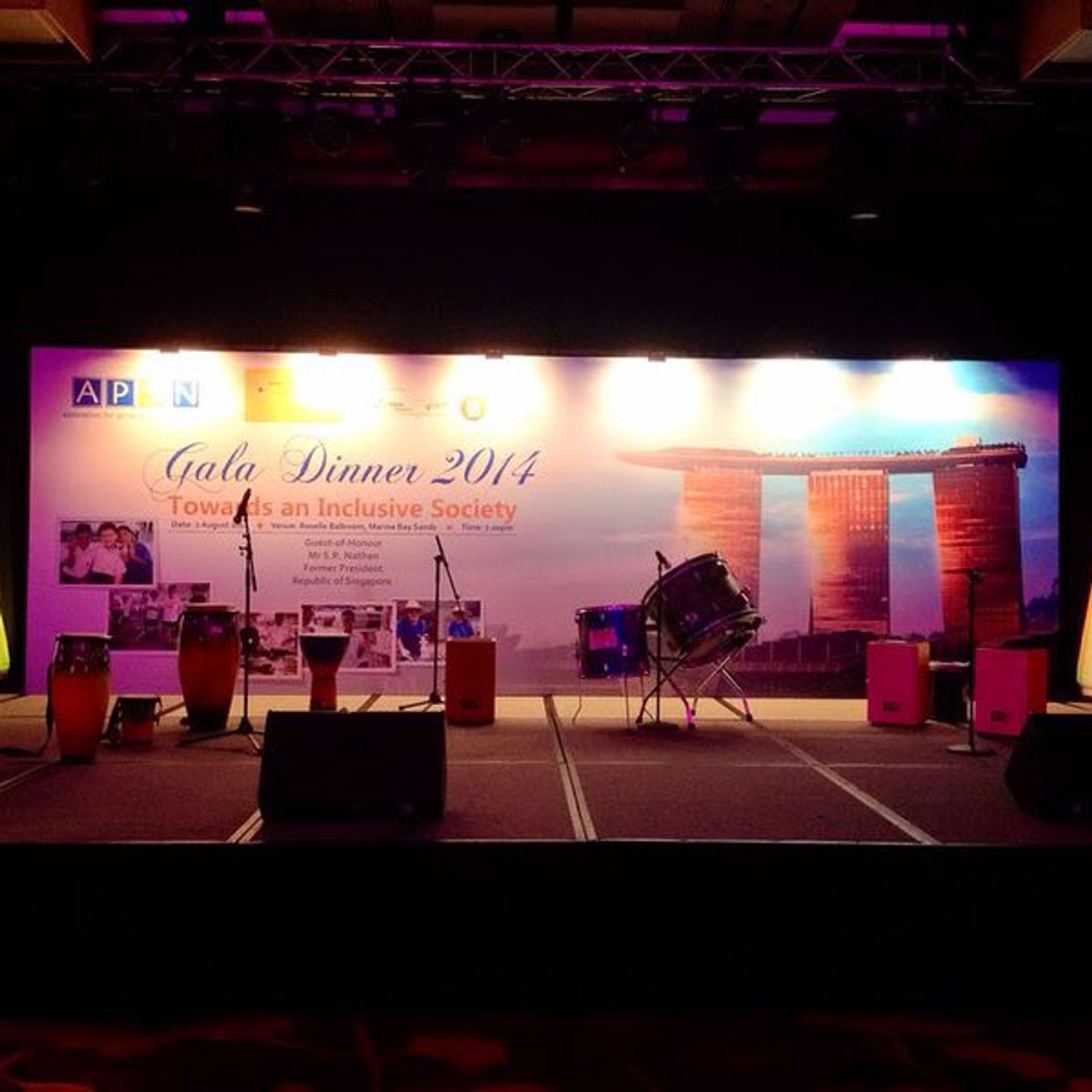 APIN Gala 2014 at Marina Bay Sands